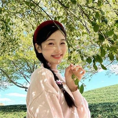 歌舞青春